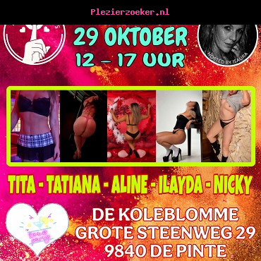 Donderdag 29 Iktober / De Pinte / 12 tot 17 Uur