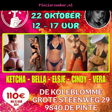 Donderdag 22 Oktober / De Pinte / 12 tot 17 Uur