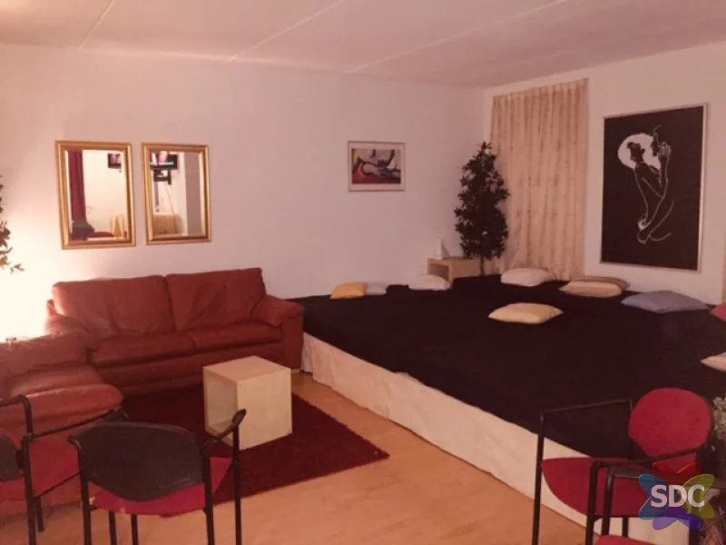 Single Dames en Stellen Middag bij de Befbaars