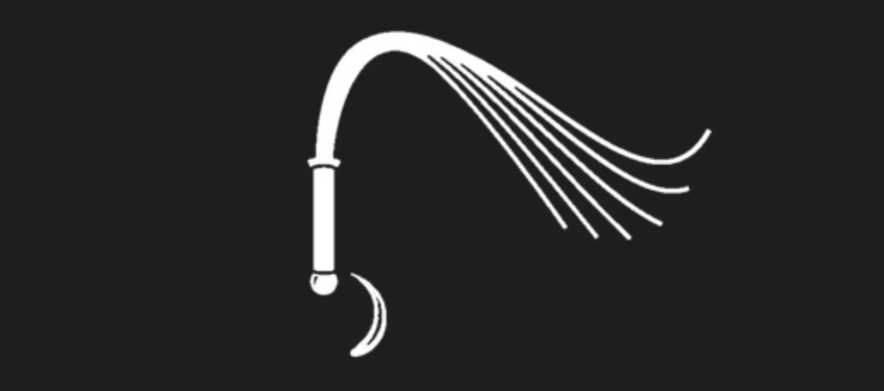 BDSM Pure