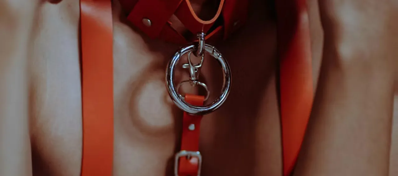 The Playroom - BDSM Playparty!